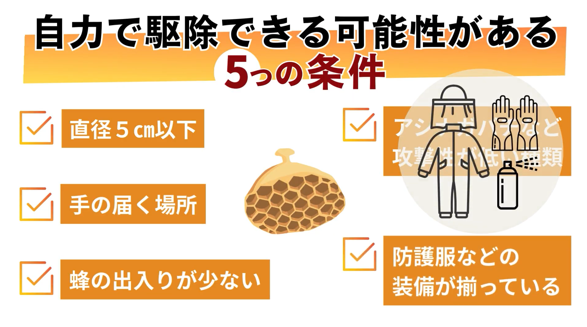 自分で駆除できる蜂の巣の条件