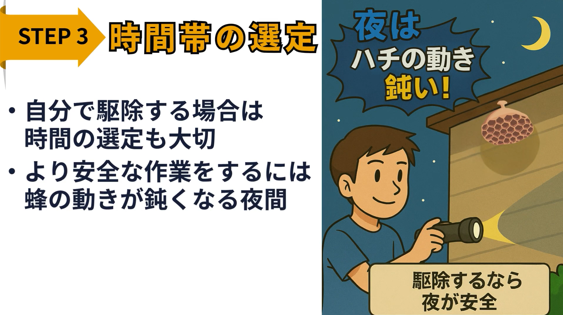 蜂の巣駆除の準備STEP3_時間帯の選定