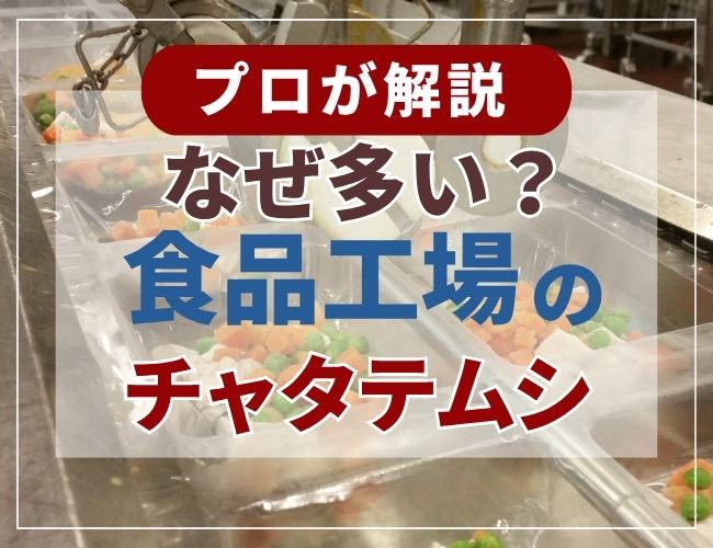 なぜ多い？食品工場のチャタテムシ