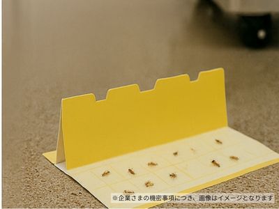 奈良の食品工場クリーンルームでの微小害虫モニタリングと対策事例の処理前写真(2)