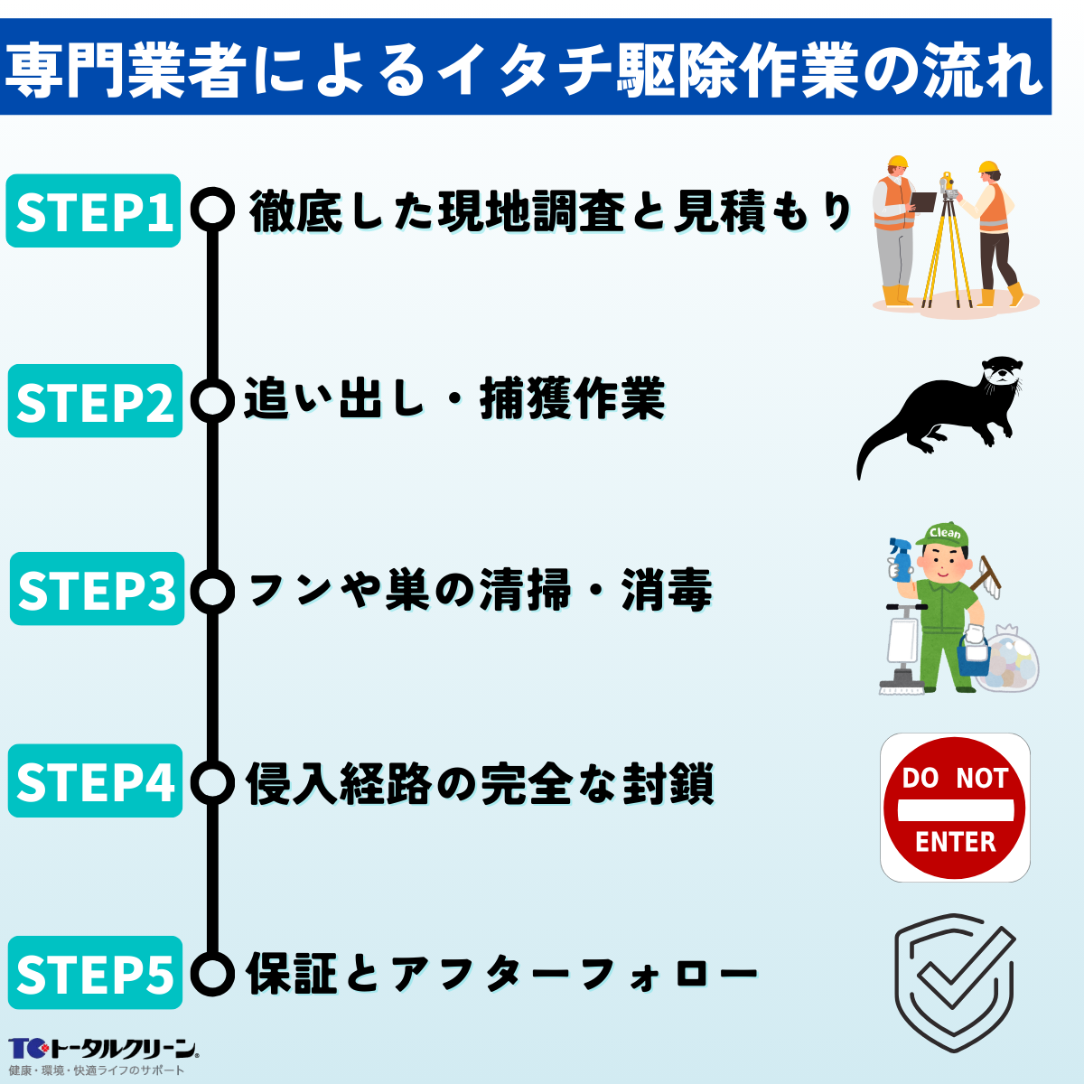 専門業者によるイタチ駆除作業の流れ