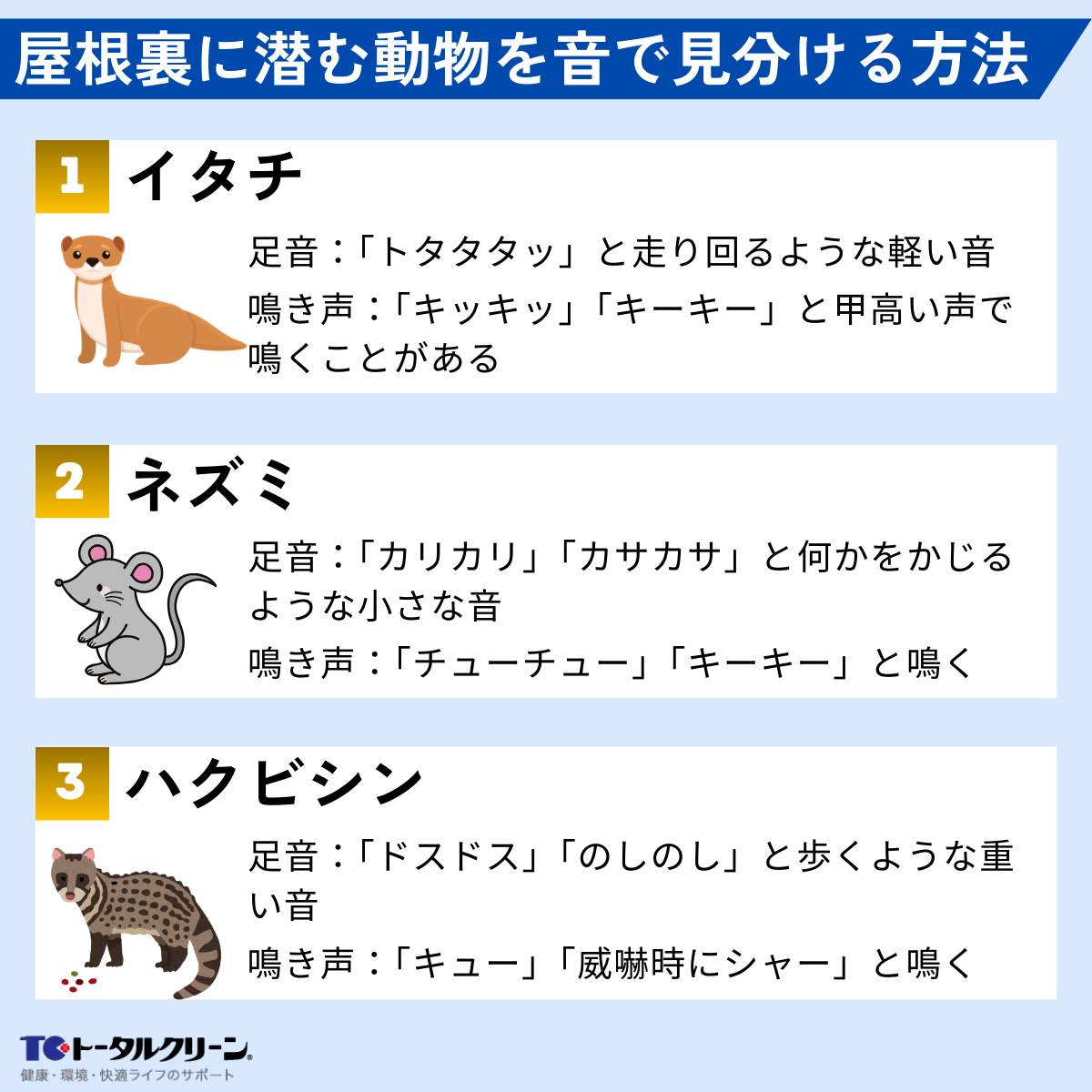 屋根裏に潜む動物を音で見分ける方法