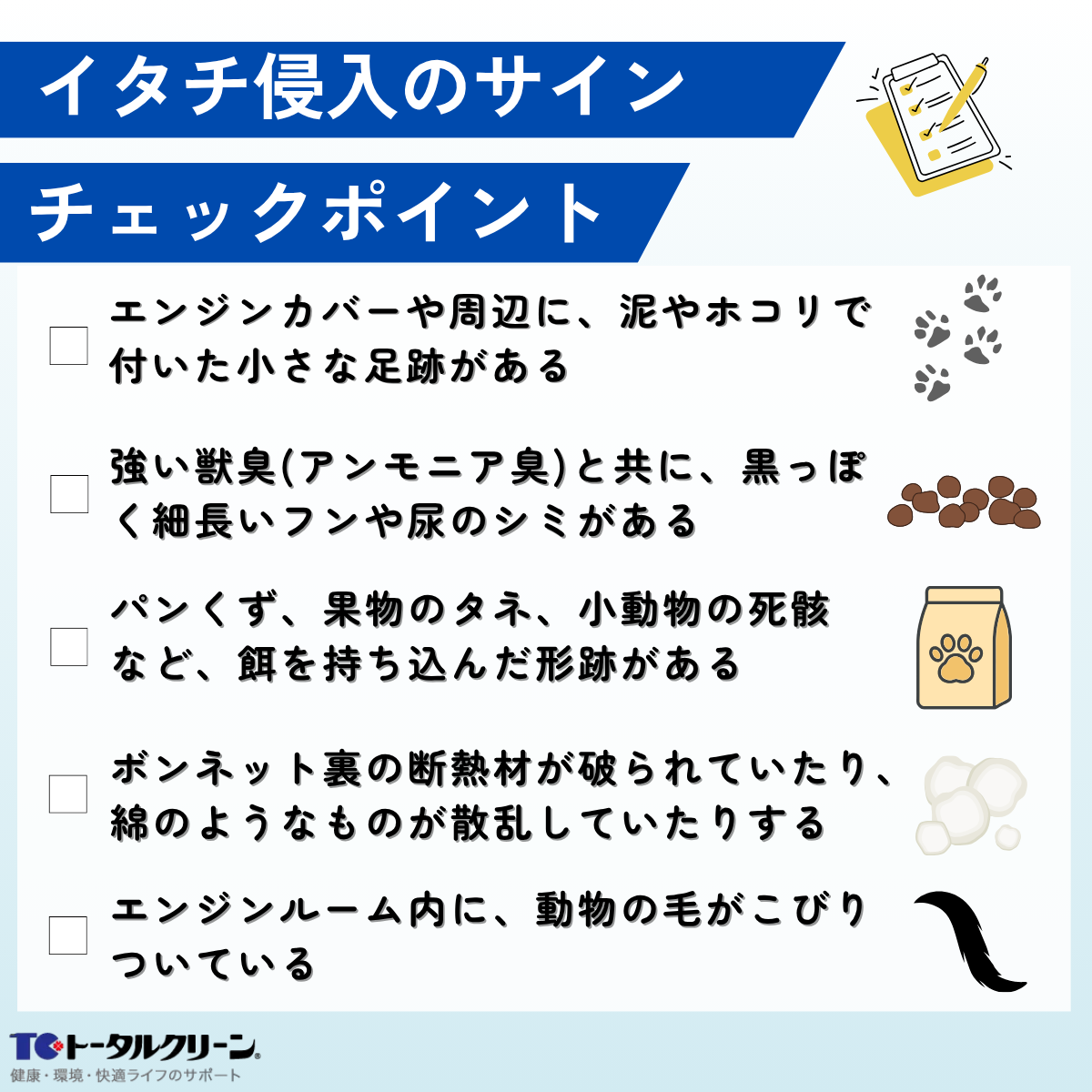 イタチ侵入のサインチェックポイント