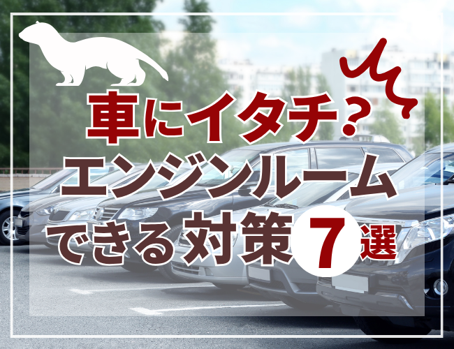 エンジンルームにイタチが入らないようにする対策