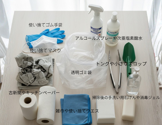 鳩の羽掃除に必要な道具