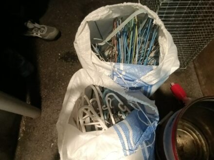 堺市堺区・高所樹木 カラスの巣撤去の事例の処理後写真(拡大)