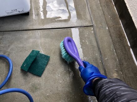 兵庫県芦屋市・マンションの鳩(ハト)フン清掃・防鳥ネット設置の施工事例の処理前写真(2)