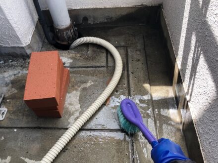 兵庫県芦屋市・マンションの鳩(ハト)フン清掃・防鳥ネット設置の施工事例の処理前写真(3)