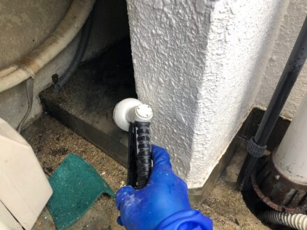 兵庫県芦屋市・マンションの鳩(ハト)フン清掃・防鳥ネット設置の施工事例の処理後写真(拡大)