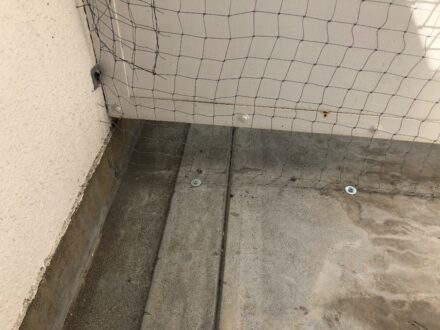 兵庫県芦屋市・マンションの鳩(ハト)フン清掃・防鳥ネット設置の施工事例の処理後写真(3)