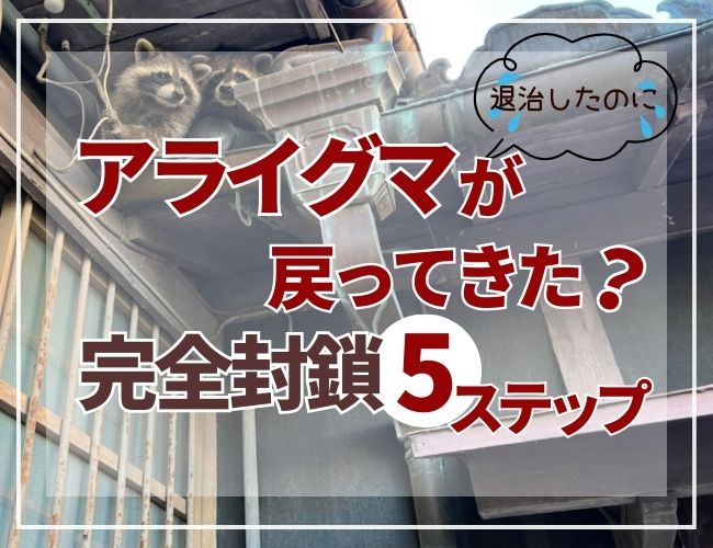 アライグマが戻ってきた？完全封鎖５ステップ