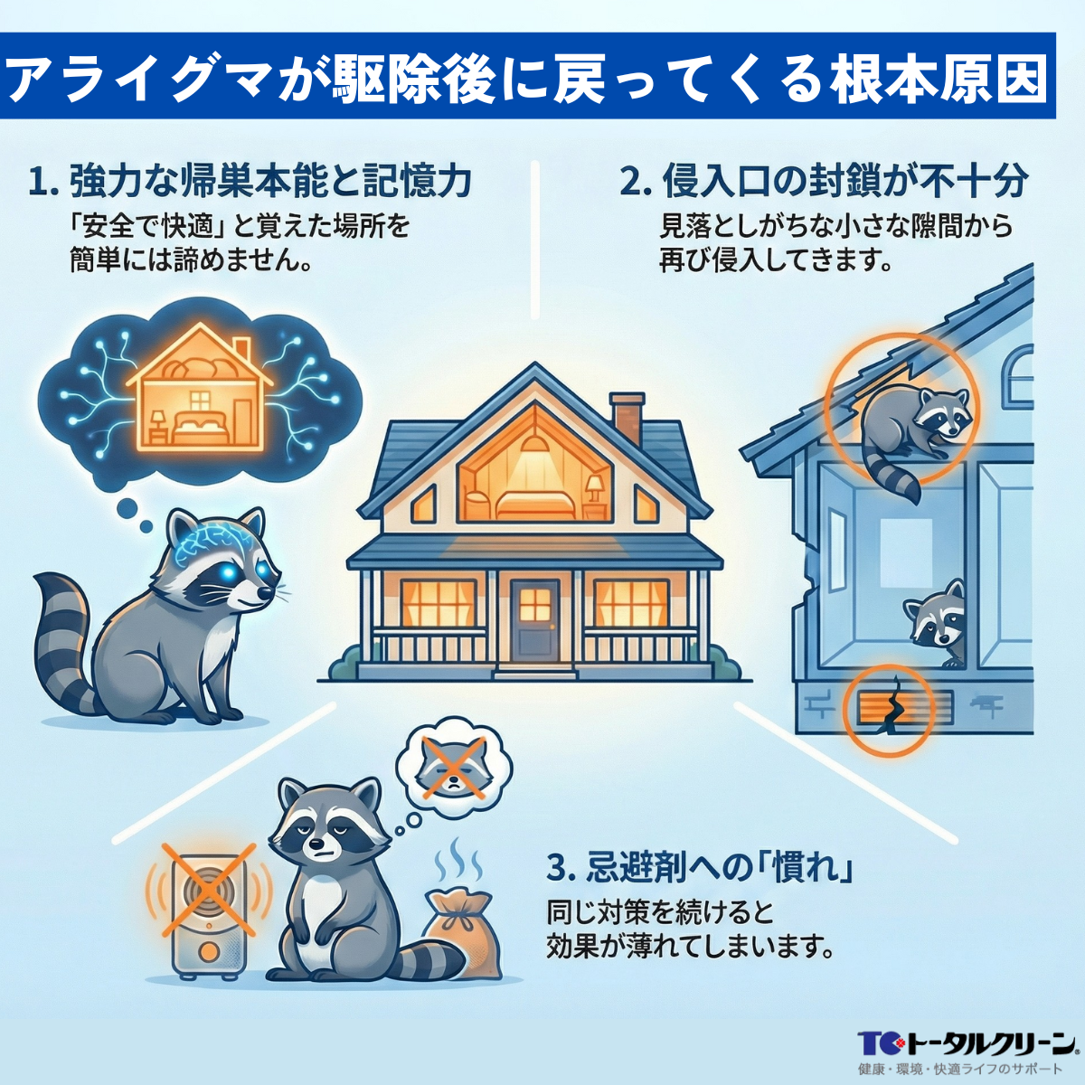 アライグマが駆除後に戻ってくる根本原因