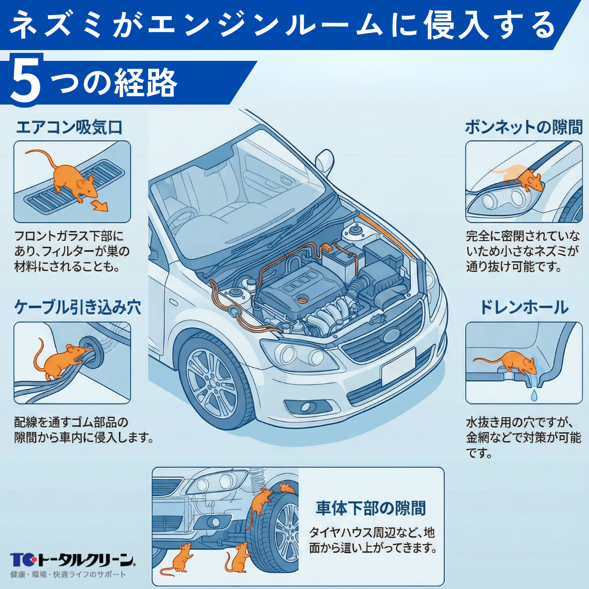 ネズミがエンジンルームに侵入する5つの経路