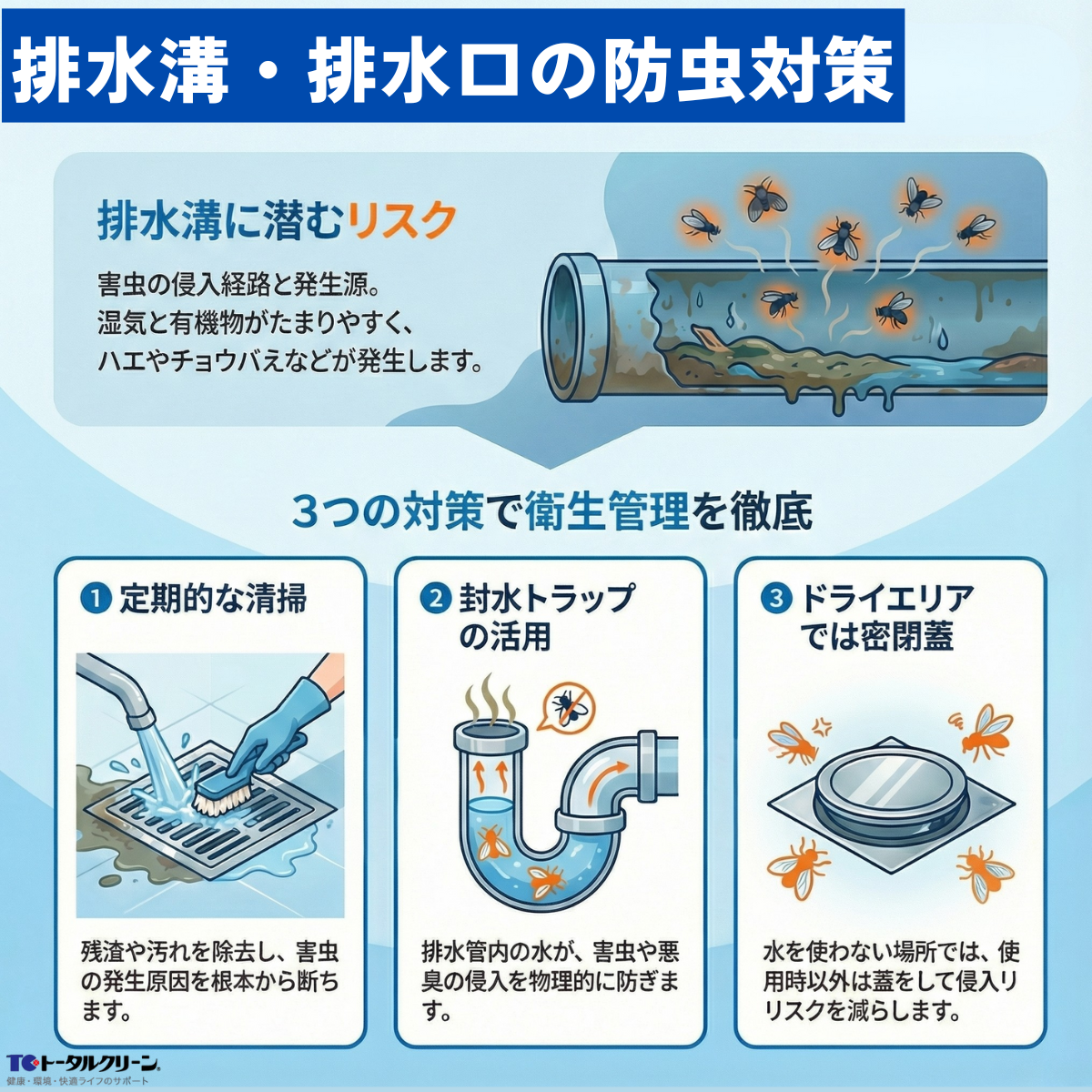排水溝・排水口の防虫対策