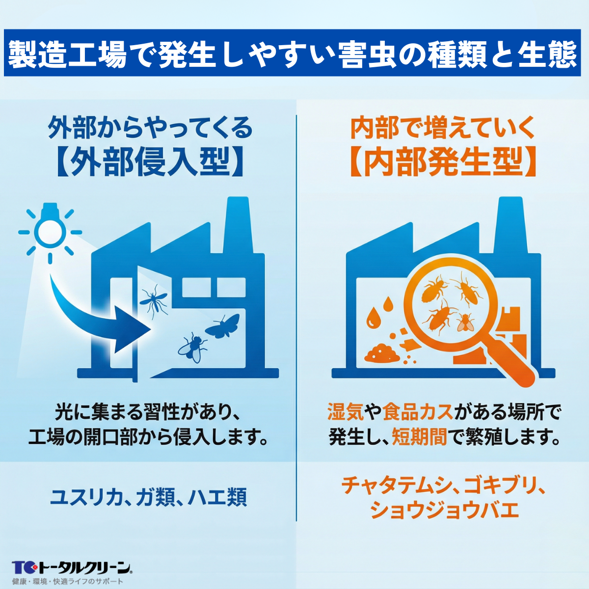製造工場で発生しやすい害虫の種類と生態