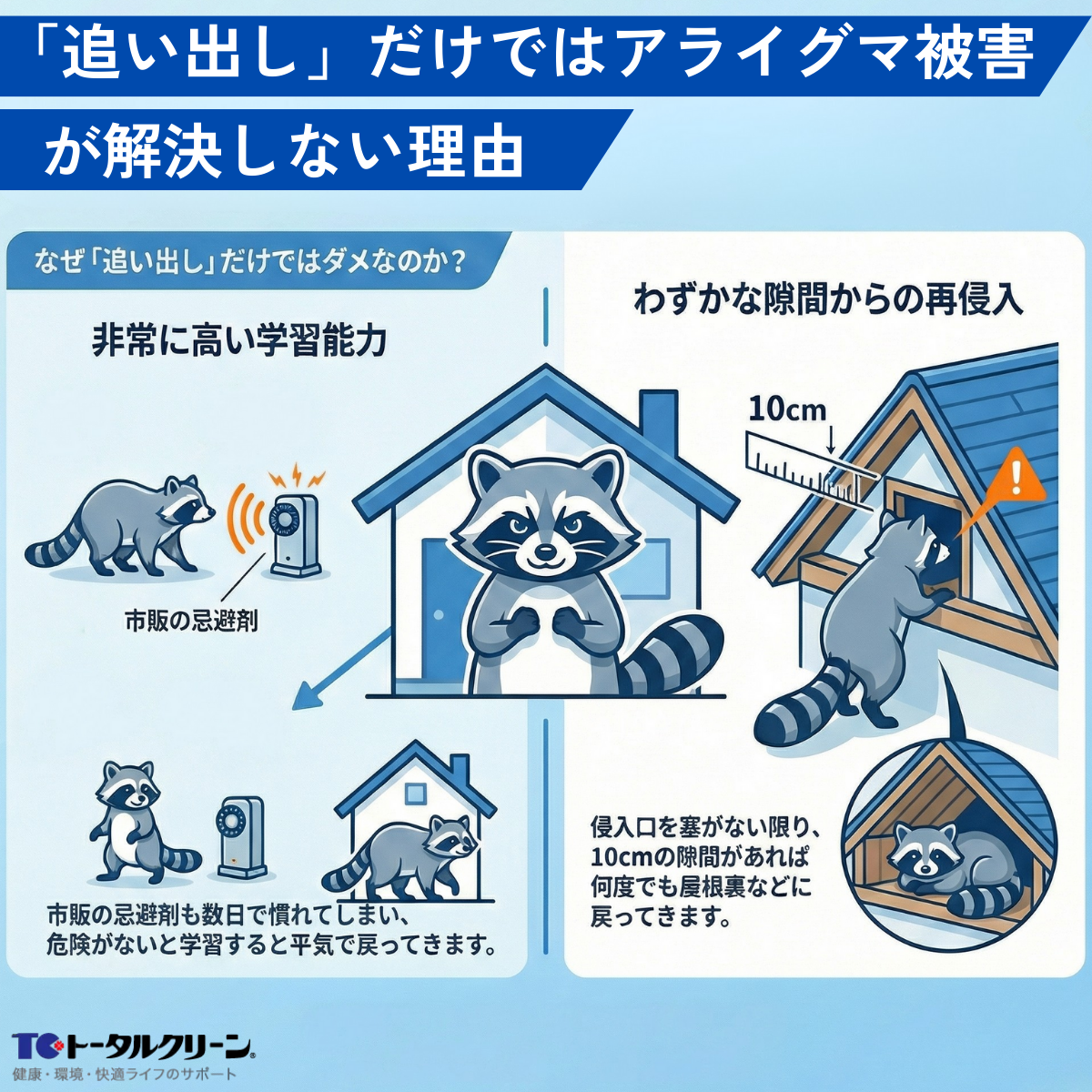 「追い出し」だけではアライグマ被害が解決しない理由
