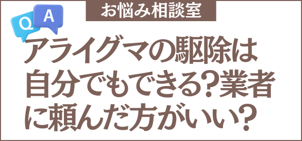 アライグマの駆除は自分でもできる？業者に頼んだ方がいい？