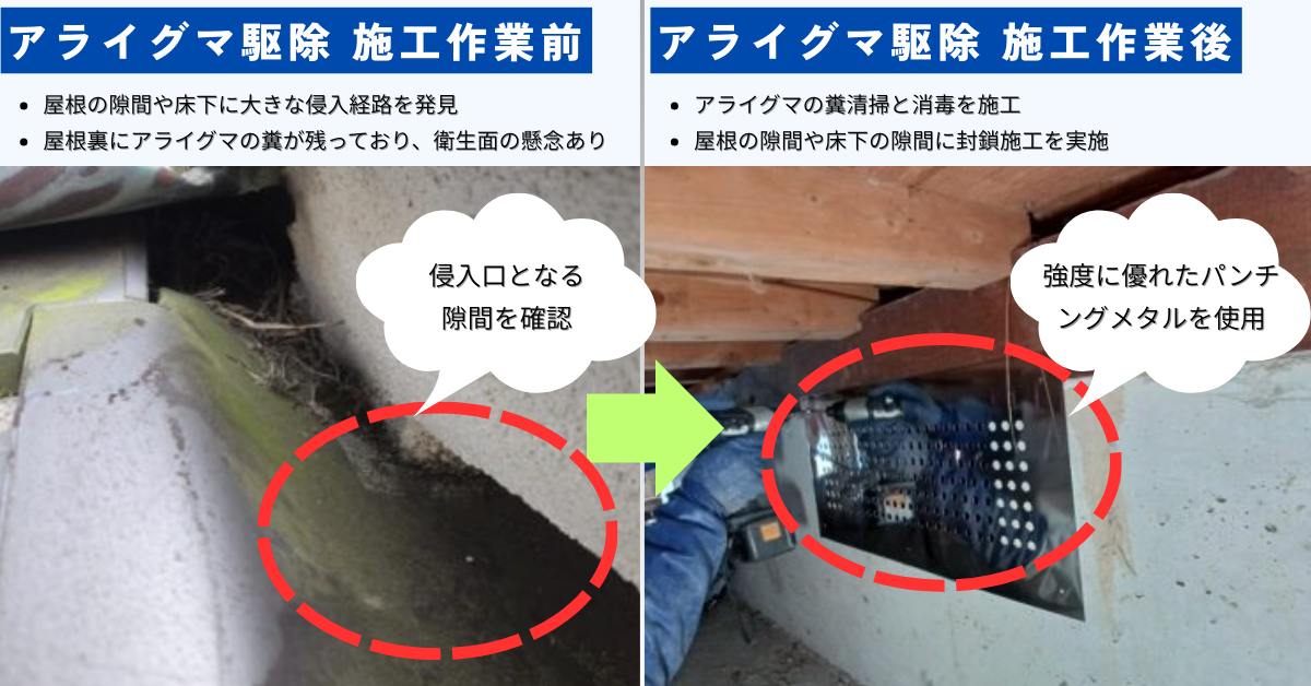 アライグマの駆除は自分でもできる？業者に頼んだ方がいい？_施工説明