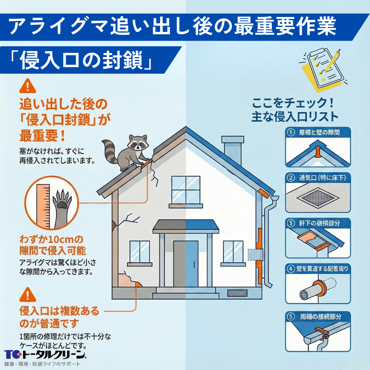 アライグマ追い出し後の最重要作業「侵入口の封鎖」