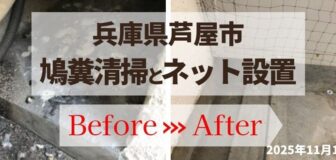 兵庫県芦屋市・マンションの鳩（ハト）フン清掃・防鳥ネット設置の施工事例