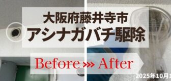 大阪府藤井寺市・マンション個人宅 のアシナガバチ駆除の事例　