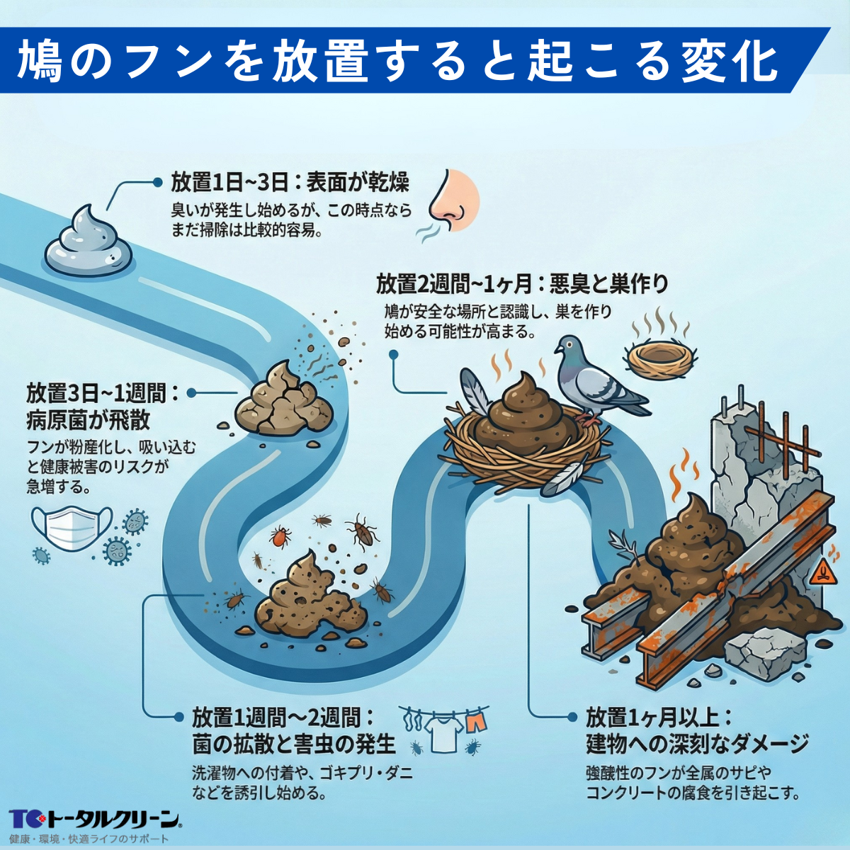 鳩のフンを放置すると起こる変化