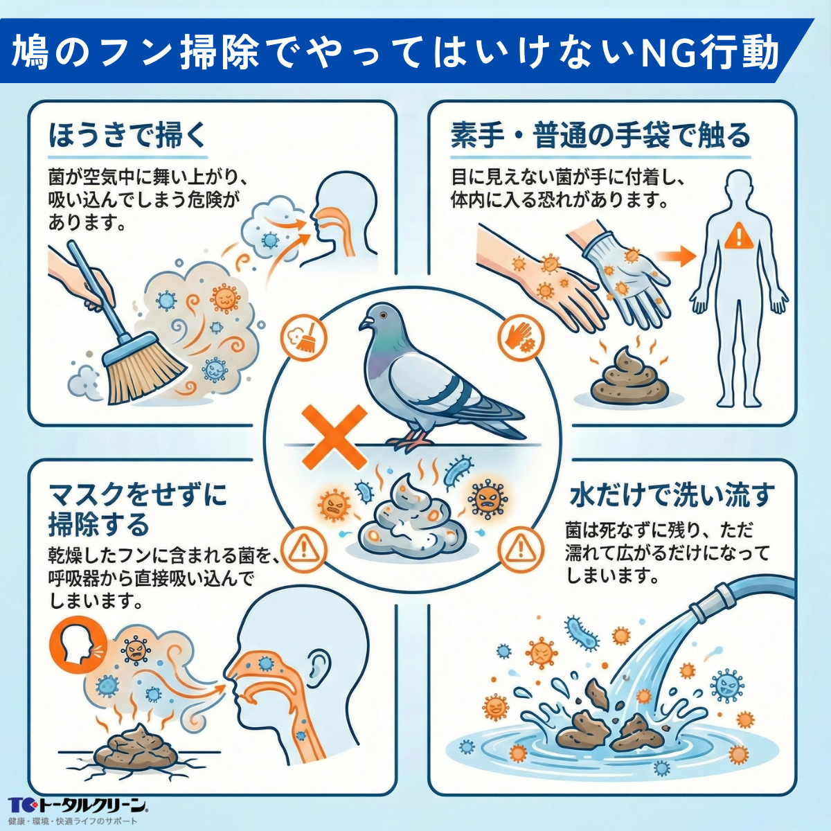 鳩のフン掃除でやってはいけないNG行動