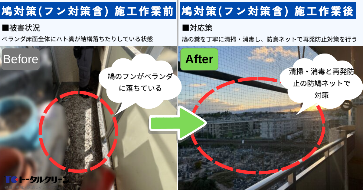 鳩対策・鳩のフン掃除の事例