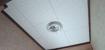 兵庫県芦屋市・個人宅戸建  アライグマ侵入防止対策の事例の駆除処理後