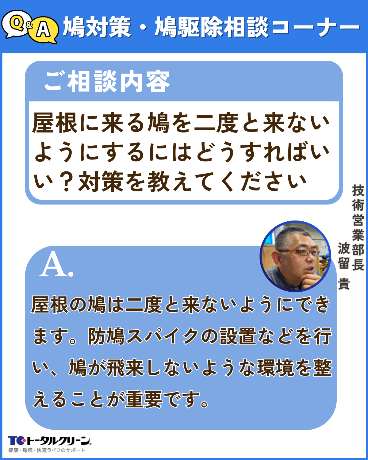 Q 屋根に来る鳩を二度と来ないようにするにはどうすればいい？具体的対策を教えてください