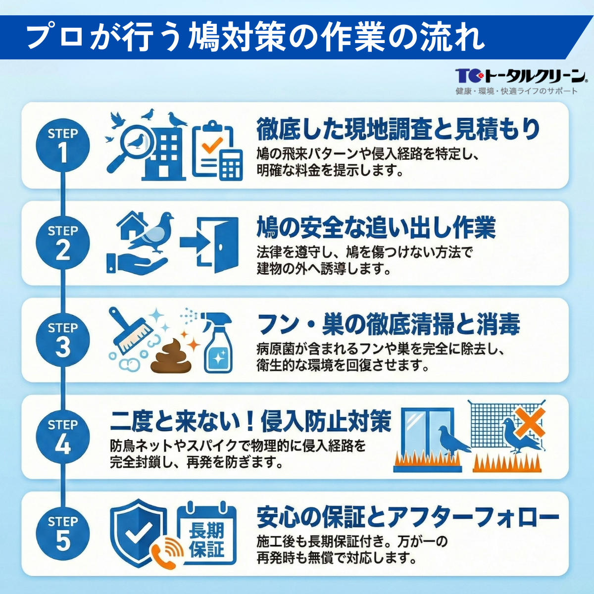 プロが行う鳩対策の作業の流れ
