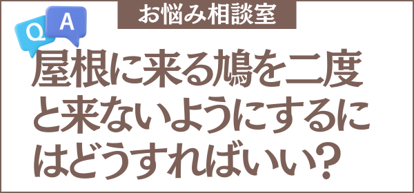 屋根に来る鳩を二度と来ないようにするには？具体的な対策を教えてください