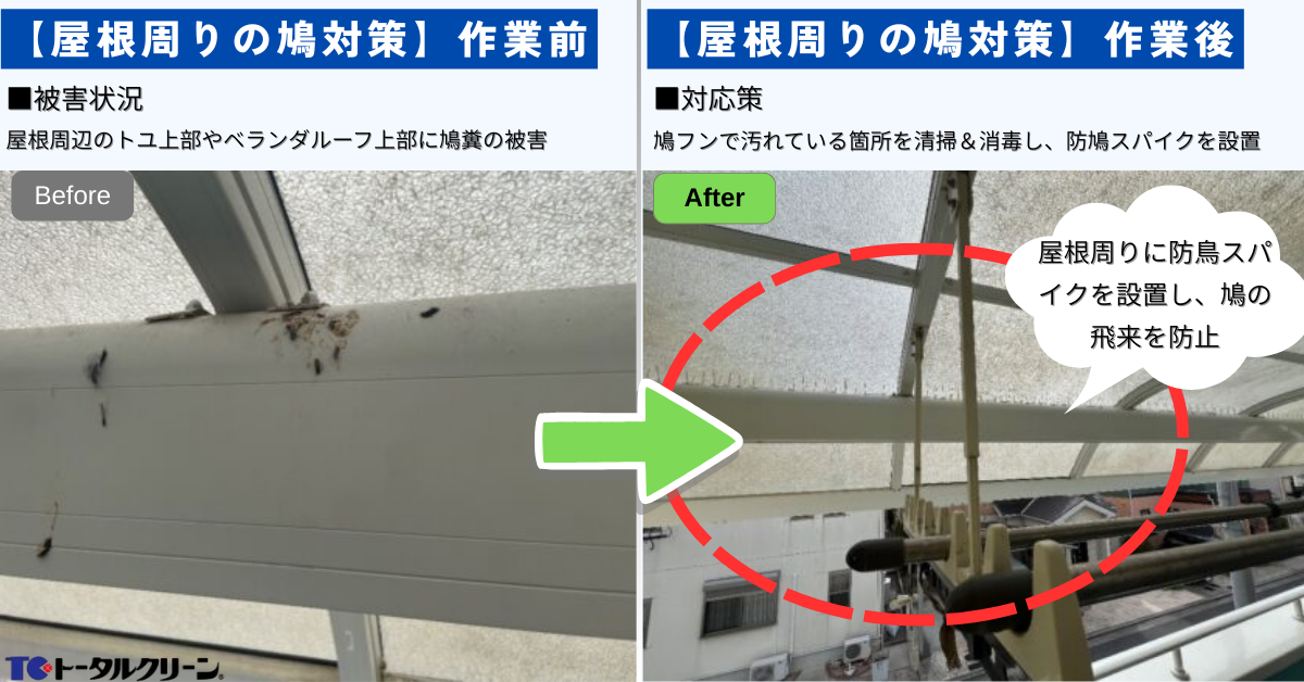屋根周りの鳩対策事例