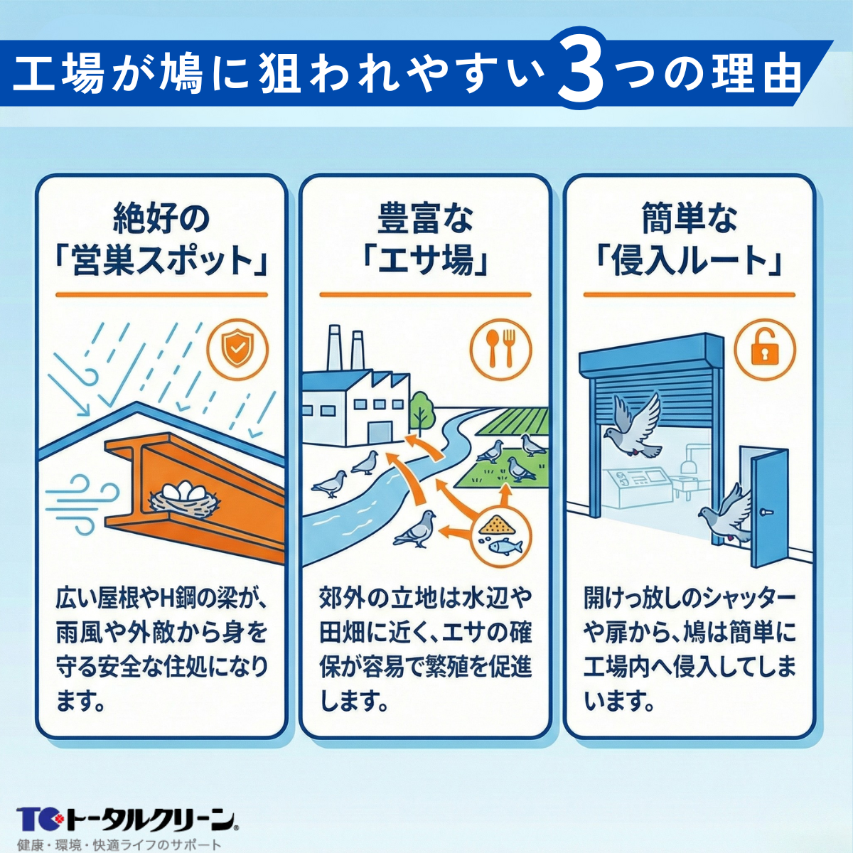 工場が鳩に狙われやすい理由