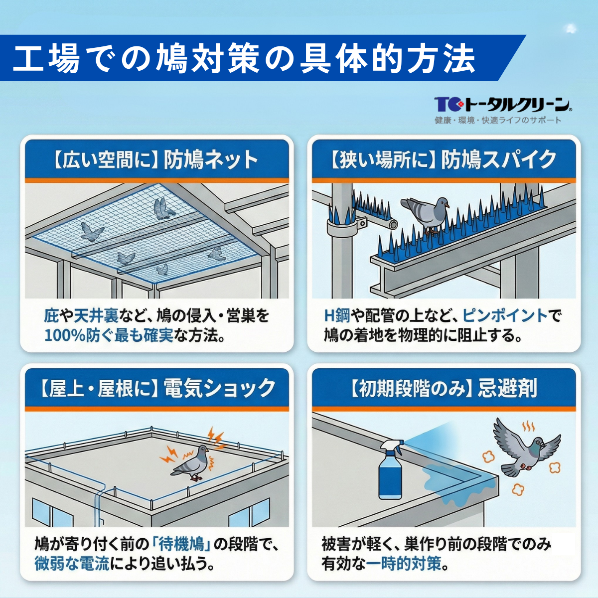 工場での鳩対策の具体的方法