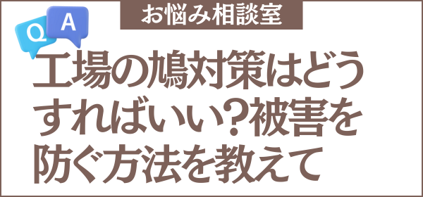 工場の鳩対策は何が効果的ですか？鳩の飛来や糞害を防ぐにはどうすればいい?