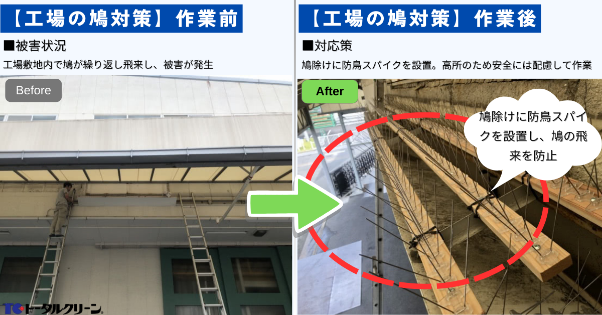 工場の鳩対策事例