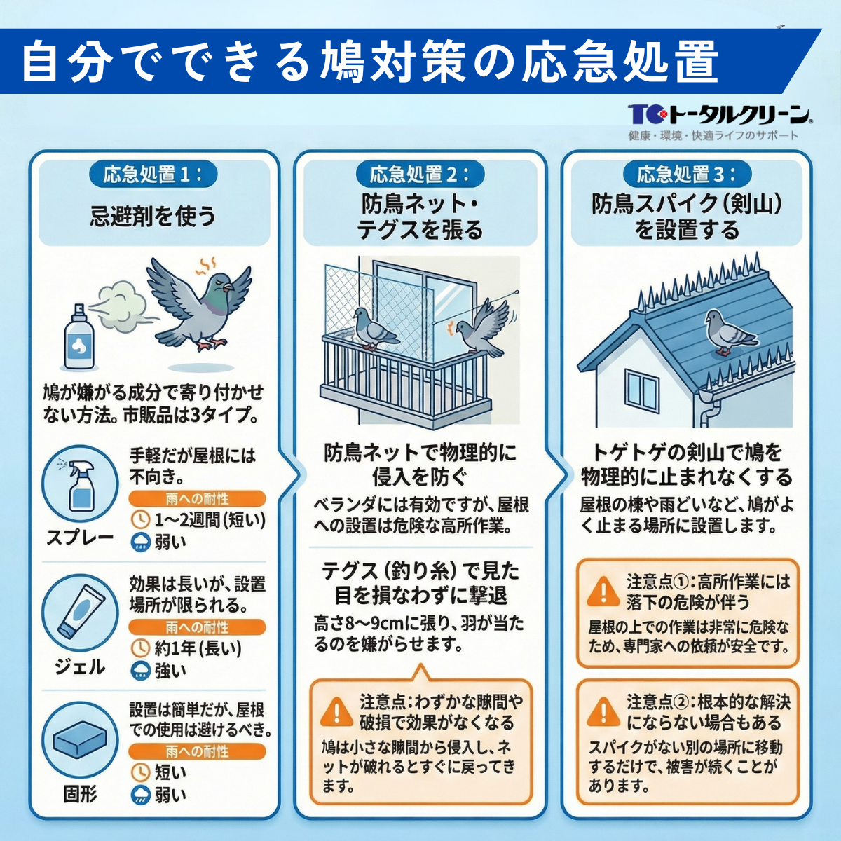 自分でできる鳩対策の応急処置