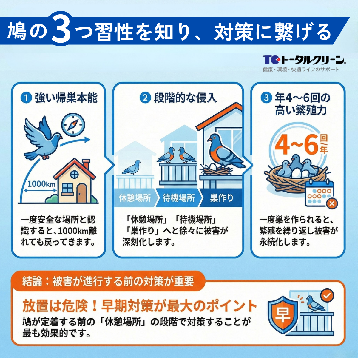 鳩の3つの習性を知れば対策が見えてくる