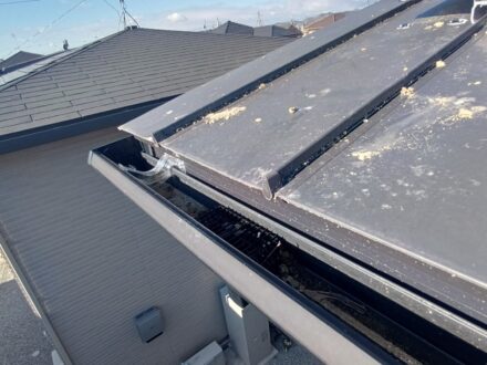 大阪府堺市・ソーラーパネルの害鳥対策（ムクドリ）の事例　高所作業車の処理前写真（拡大）