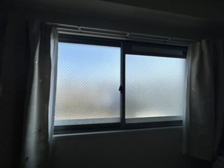 大阪市西淀川区・個人宅マンション  ガガンボダマシ侵入防止対策の事例の処理前写真（拡大）