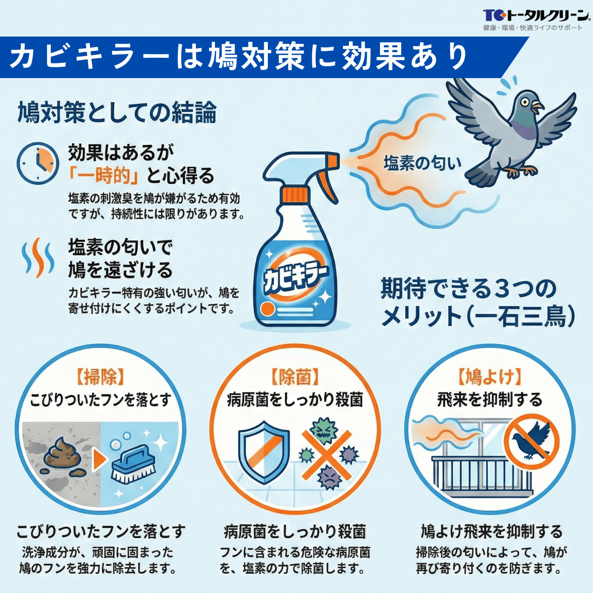 カビキラーは鳩対策に効果あり