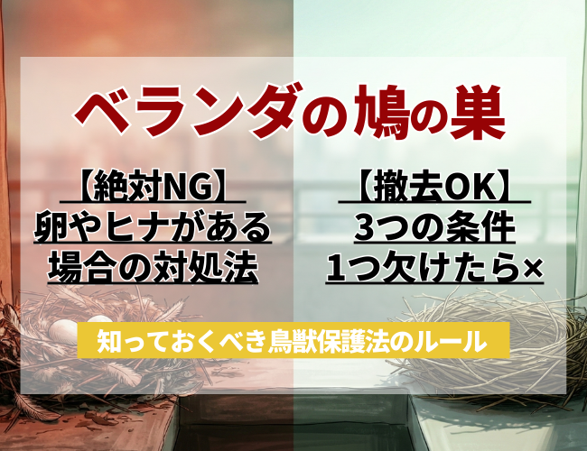 ベランダの鳩の巣撤去