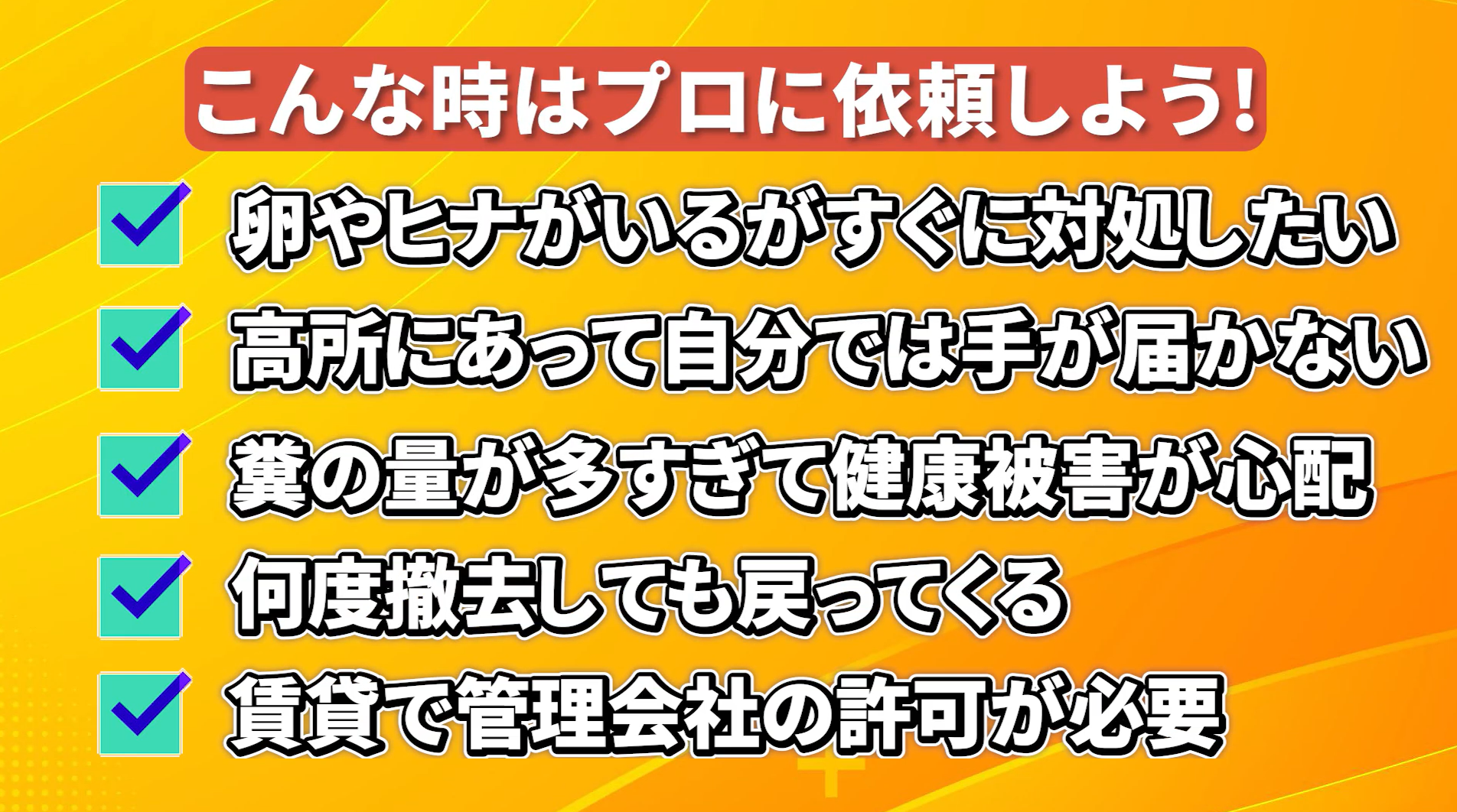 ベランダの鳩対策のプロに依頼すべきシーン