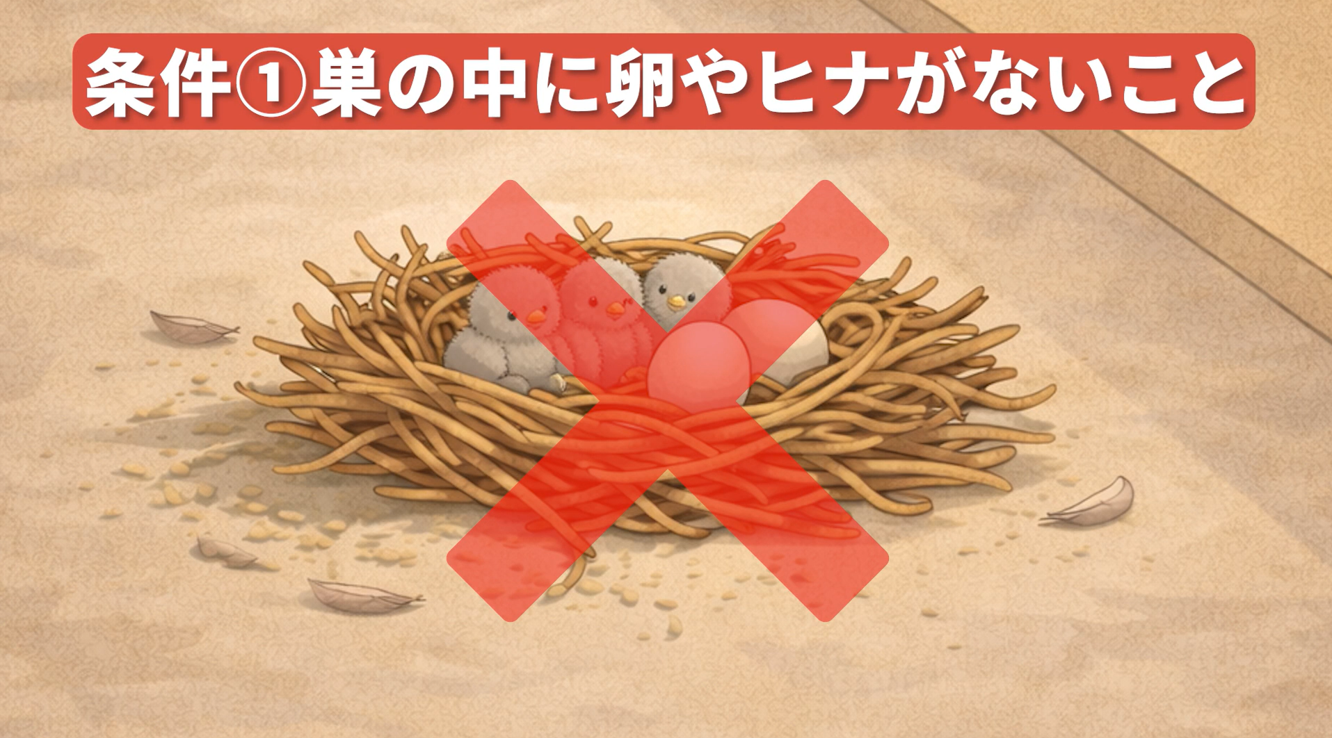 自分で撤去してOKな条件：条件1：巣の中に卵やヒナがないこと