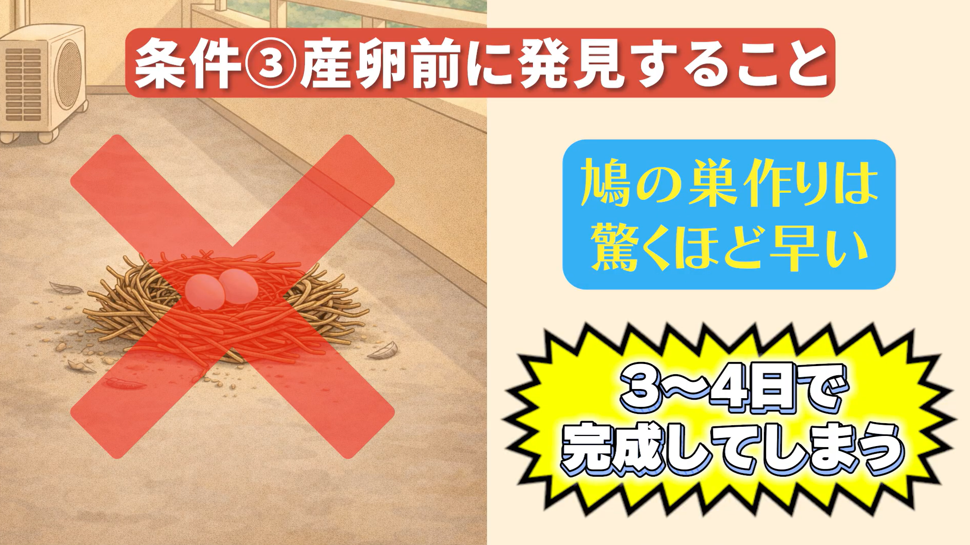 自分で撤去してOKな条件：条件3：産卵前に発見すること