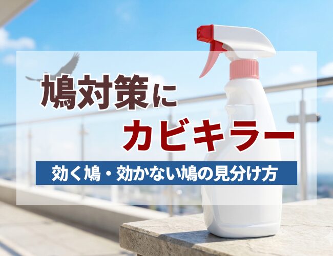 鳩対策にカビキラー