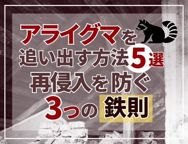 アライグマを追い出す方法5選