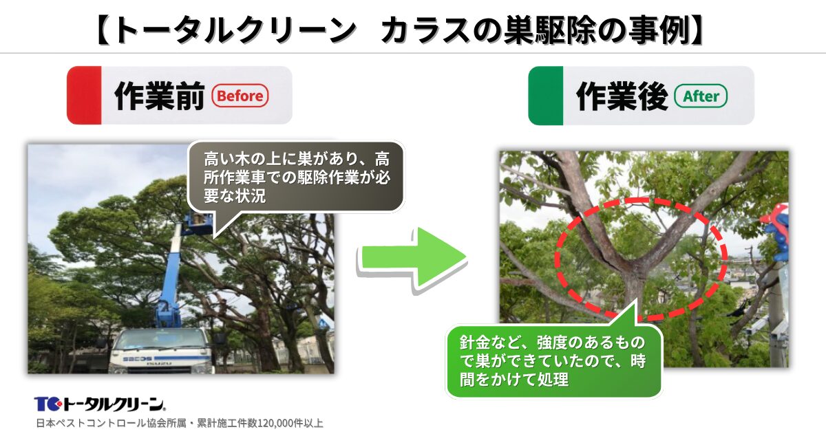 トータルクリーン カラスの巣駆除の事例