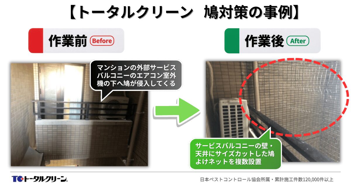 トータルクリーン 鳩対策の事例